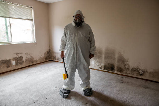 Best Attic Mold Remediation in Sammamish, WA